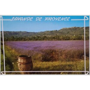 Francja Prowansja lawenda