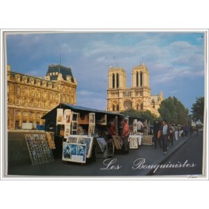 Francja Paryż Notre-Dame i księgarze