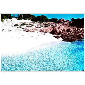 Archipelag Maddalena różowa plaża