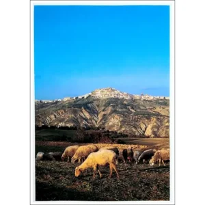 Pomarico panorama