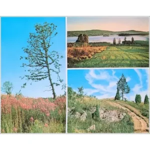 Svensk natur