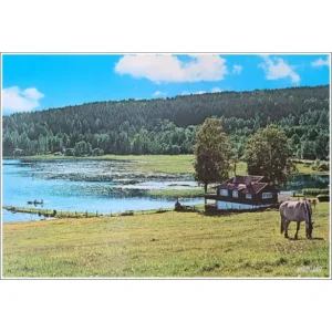 Szwecja Szwedzka natura ZP000490