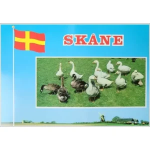 Szwecja Skane plaża ZP000498