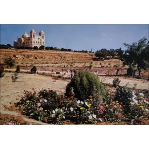 Carthage katedra Sain Luis