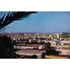 Tunis widok ogólny