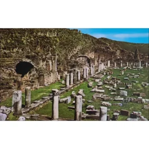 Pergamum Gimnazjim wschodni1