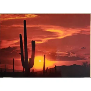 Arizona pustynia zachód słońca