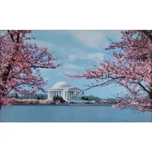 Waszybgton Jefferson Memorial