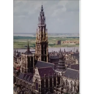 Antwerpia katedra