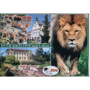Dvur Kralove Zoo