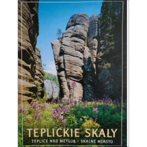 Tepelickie Skały Skalne Miasto