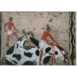 Turyn Muzeum Scena Rzezi