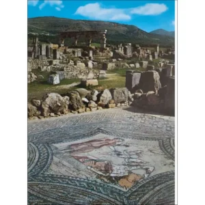 Volubilis dom z mozaiką Bachusa