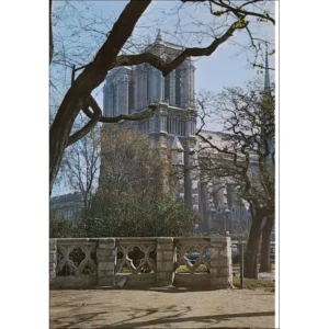 Paryż katerdra Notre-Dame