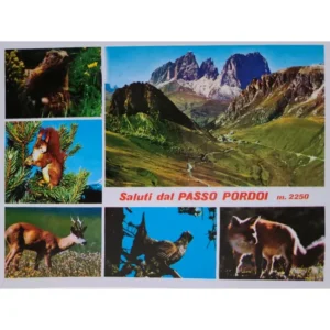 Dal Passo zwierzęta