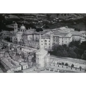 Urbino