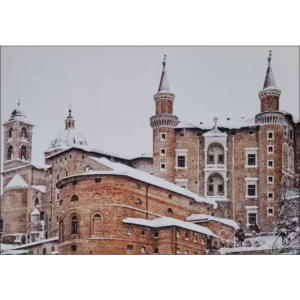 Urbino