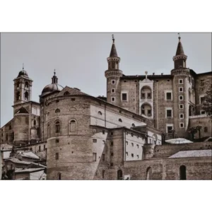 Urbino
