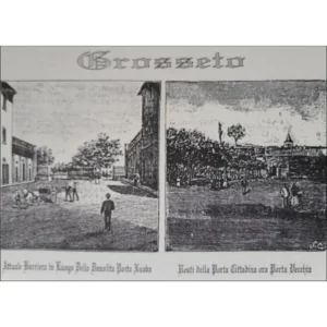 Grosseto rycina