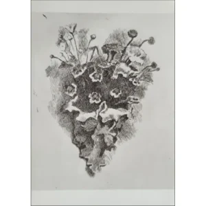 Giorgio Morandi