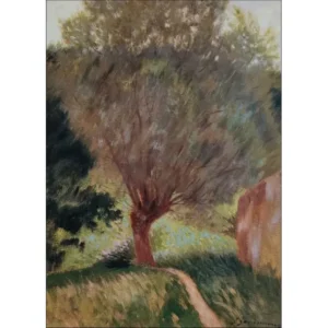Federico Zandomeneghi