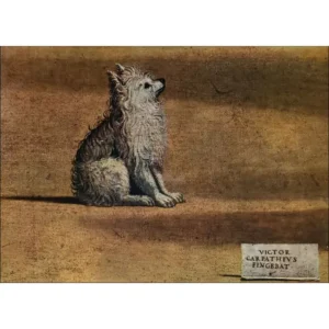 Vittore Carpaccio