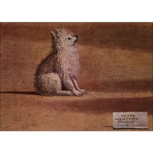 Vittore Carpaccio