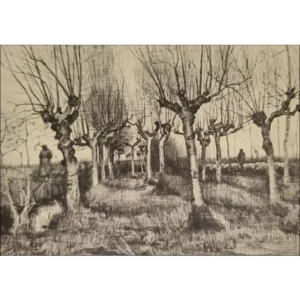 Vincent Van Gogh