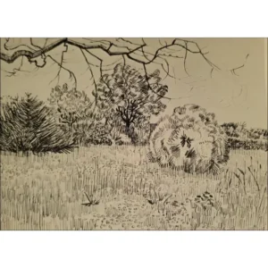 Vincent Van Gogh