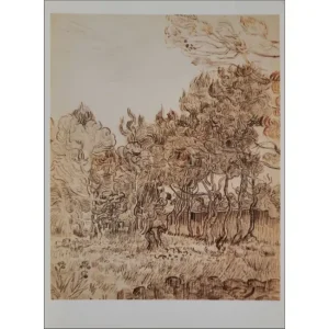 Vincent Van Gogh