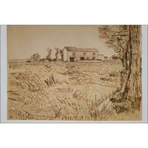 Vincent Van Gogh