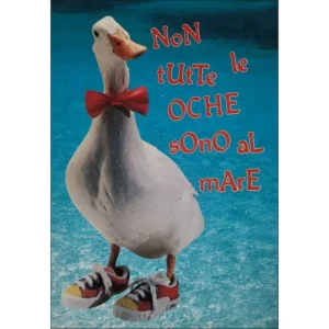 Gęś