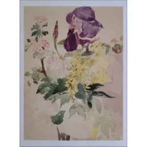 Eduardo Manet