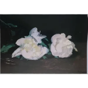 Eduardo Manet
