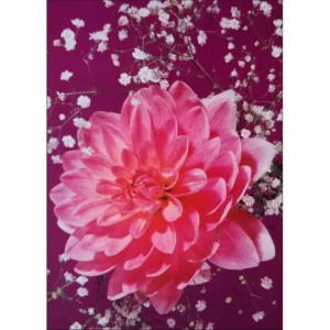 Dalia