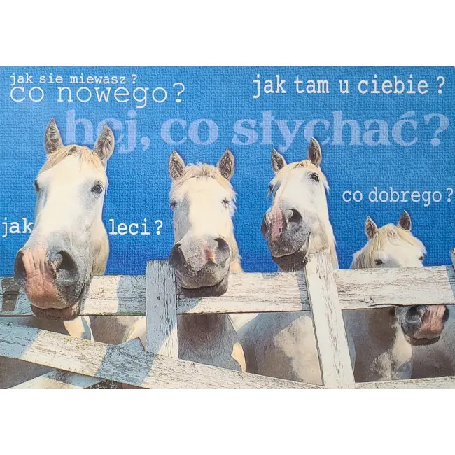Konie I ha ha, co nowego, jak leci