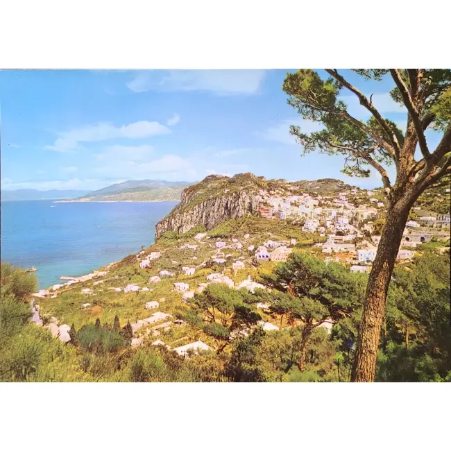 Capri panorama