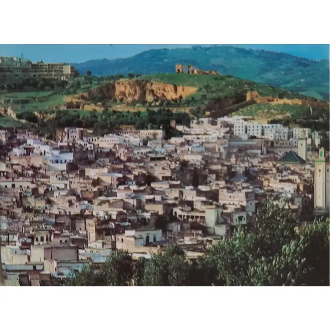 Fes panorama