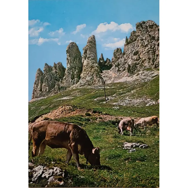 Tyrol Denti di Terrarossa