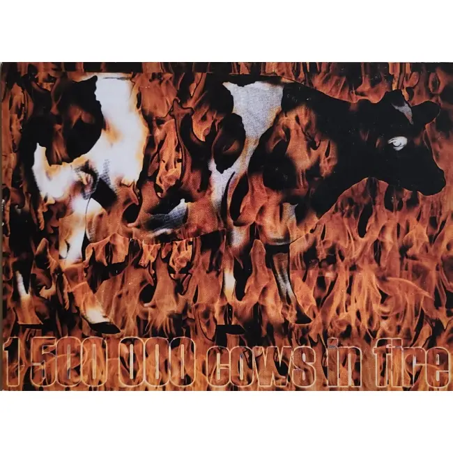 Albert Tyrała – Cows in fire