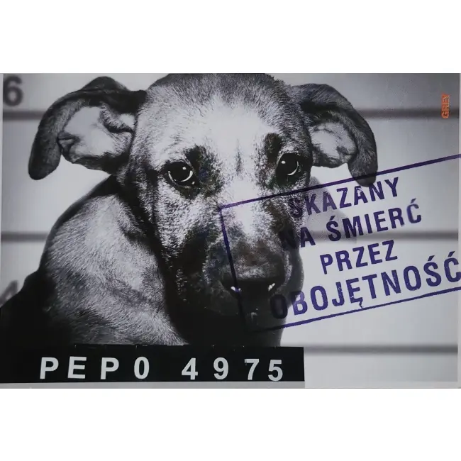 Skazany na śmierć przez obojętność