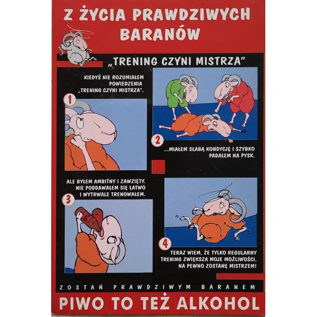 Z życia prawdziwych baranów