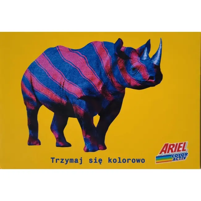 Trzymaj kolory nosorożec – Ariel