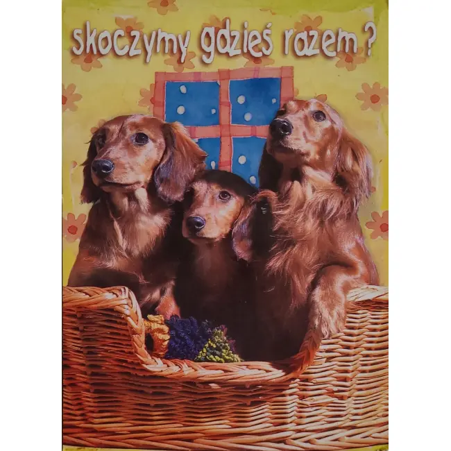 Pies, psy, pocztówka z motywem psa