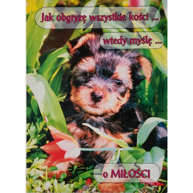 Pies, psy, pocztówka z motywem psa