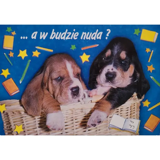 Pies, psy, pocztówka z motywem psa