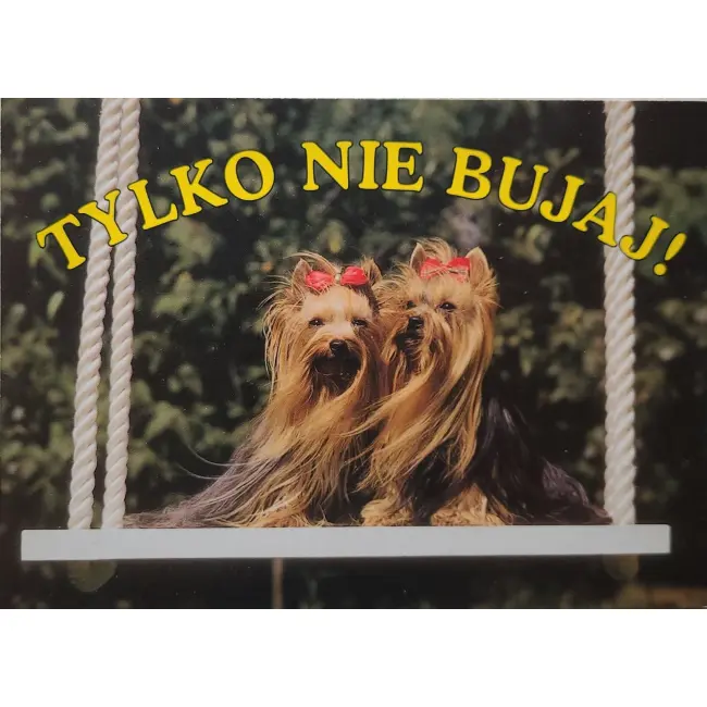 Pies, psy, pocztówka z motywem psa