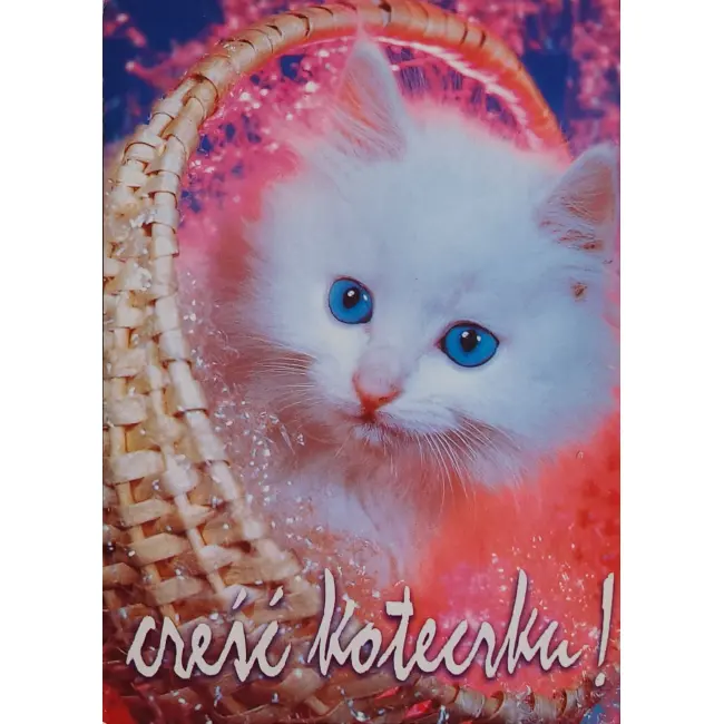 Kot, koty, pocztówka z motywem kota