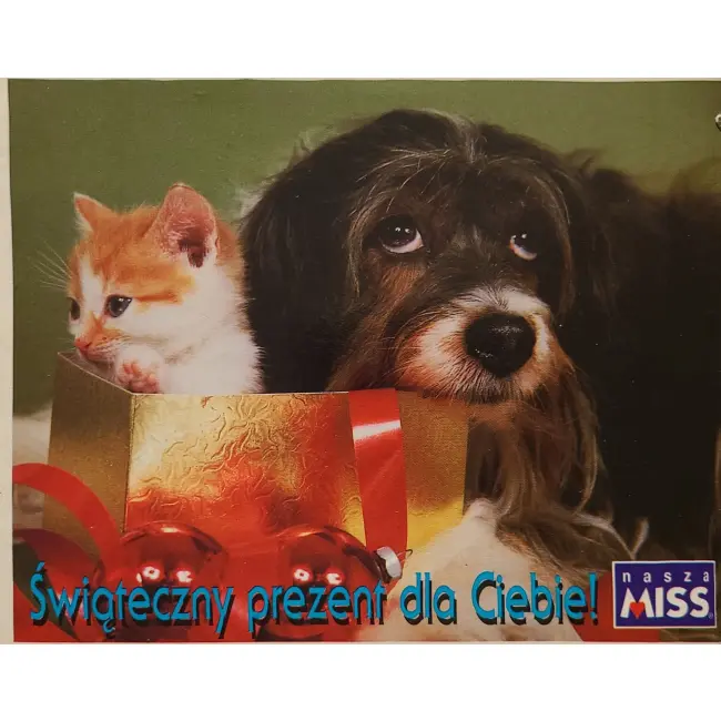 Pies, psy, pocztówka z motywem psa