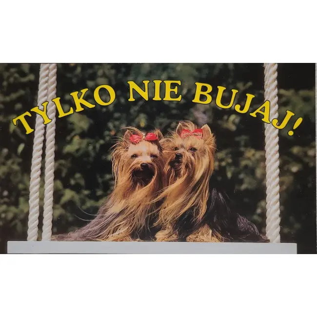 Pies, psy, pocztówka z motywem psa